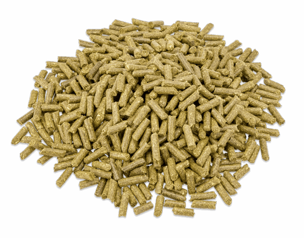 Fitright (BalanceFit) Esparcette 15kg - Afbeelding 2