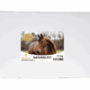 Download Metazoa NaturalFit luzerne verpakking 15 kg EAN 4260176355021