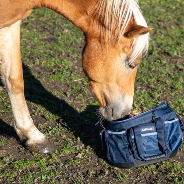 Grooming bag 